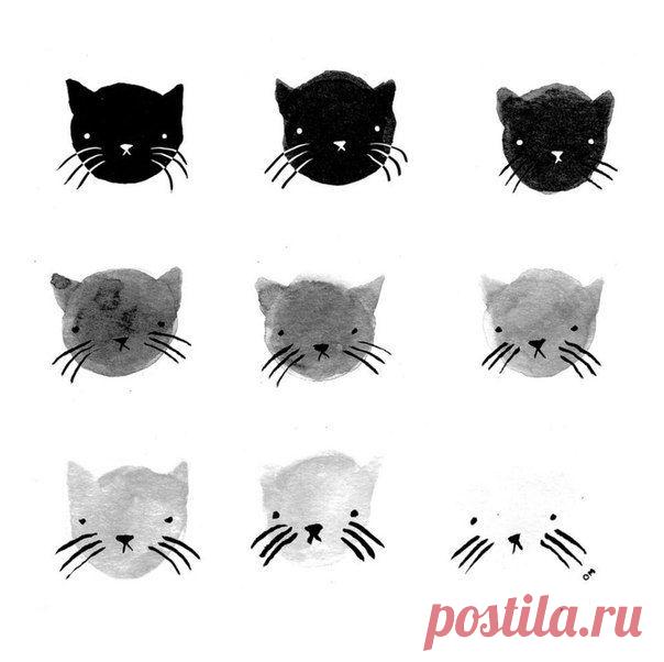 9 оттенков кош / Занимательная реклама