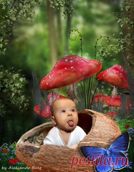 В ЛЕСУ