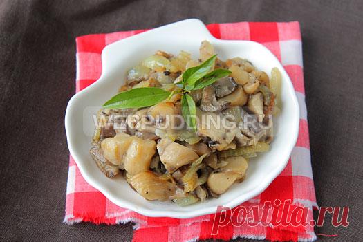 Жареные вешенки с луком | Как приготовить на Webpudding.ru