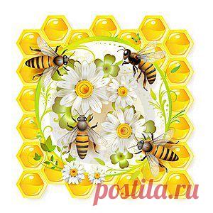 Мед и пчелы / Декупаж / Картинки для декупажа