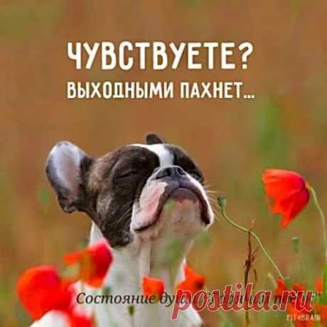 Женский Журнал