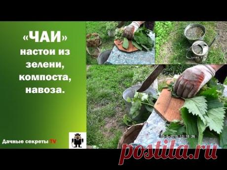 Приготовление органического удобрения -  настоя из зелени с эффективными  микроорганизмами