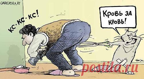 Интересные новости