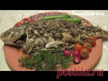 Карп или сазан, запечённый с грибами - Видеокулинария.рф - видео-рецепты Бабушки Эммы