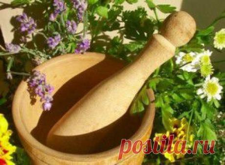 Травы для очищения организма от паразитов - рецепты, советы