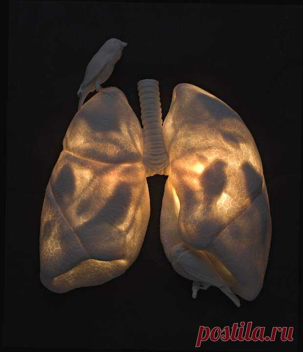 ПСИХОСОМАТИКА БРОНХИАЛЬНОЙ АСТМЫ... - Познавательный сайт ,,1000 мелочей