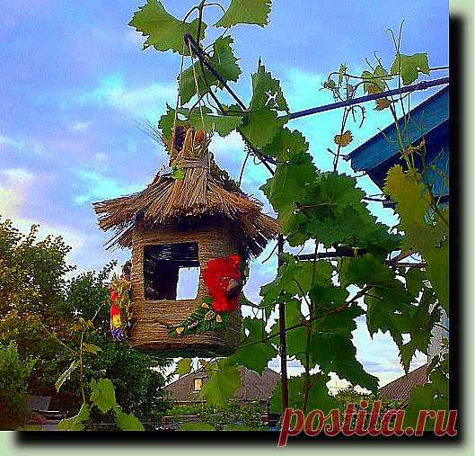 Интересная кормушка для птиц своими руками | Дача своими руками