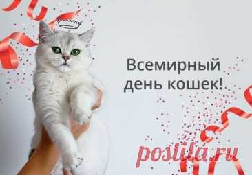 Всемирный день кошек!
Всех «кошатников» поздравить
С днем волшебным я хочу.
Пожелание здоровья
Всем усатым промурчу.