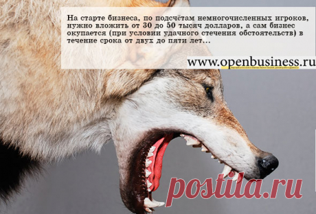 Таксидермисты: ремесло и бизнес
