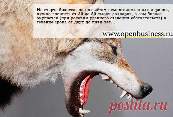 Таксидермисты: ремесло и бизнес