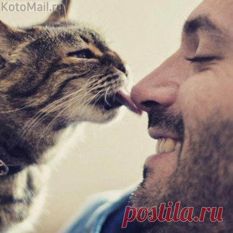 Выше нос!
