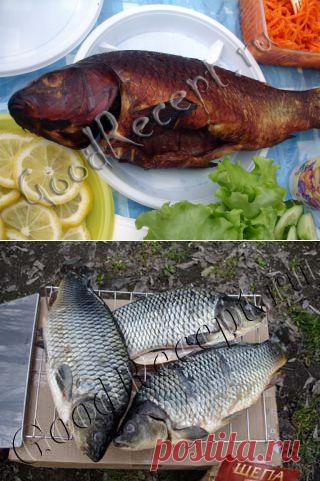 Карп горячего копчения