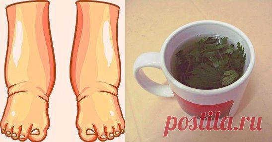 (3) Одноклассники