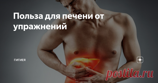 Польза для печени от упражнений Ученые проанализировали влияние силовых тренировок на ткани печени и обнаружили, что физические упражнения снижают содержание жира в печени на 25-30% и снижают количество белков, вызывающих воспаление. Хотя преимущества очевидны, тем не менее при постоянных избыточных нагрузках, уровень ожирения печени составляет порядка 150% от нормы для определения которой оценивается уровень ожирения при сбалан