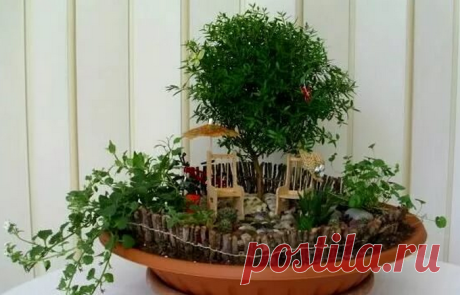 Она насыпала 1 ложку корицы в горшок с растением по одной непонятной причине. Результат - блеск! - Что хочет женщина Корица — специя, исключительно полезная для здоровья! Она ускоряет метаболизм, обладает антисептическим действием и так приятно пахнет… Съев булочку с корицей, ты еще долго будешь ощущать на себе ее аромат. Всё это — общеизвестные факты, а вот о том, что корица — отличное удобрение и стимулятор роста многих растений, мало кто знает! Чем полезна корица Если т...