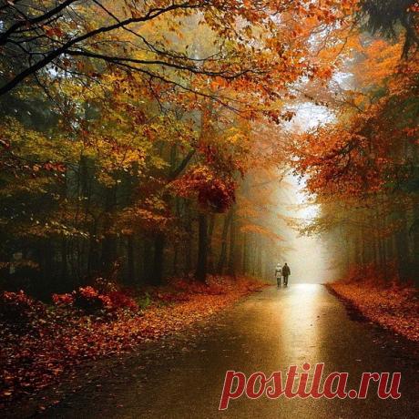 Пейзаж. Природа и человек, ч.11 – Блог. Run, пользователь Марина Николаева | Группы Мой Мир