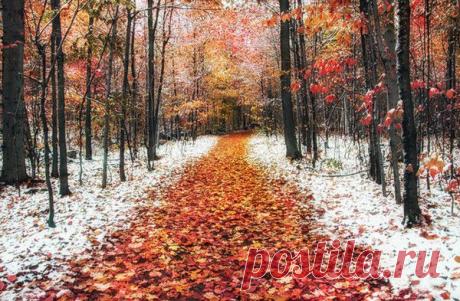 Мой Мир@Mail.Ru