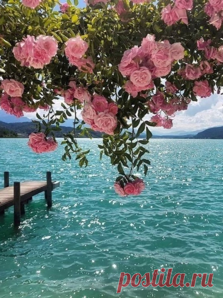 ღ