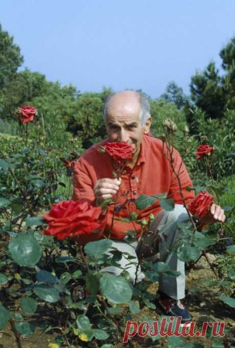 ღКороль комедии - Луи Де Фюнес! Семья и розы🌹