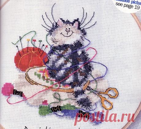 Коты разнообразные