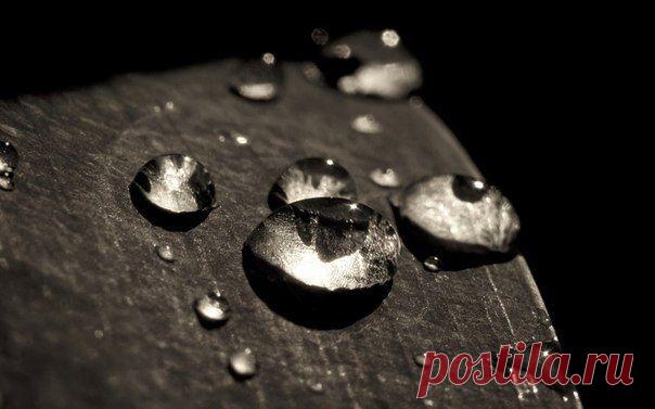 Качество -  это стремление делать все как можно лучше даже тогда, когда это никому не важно. / Понимание бизнеса