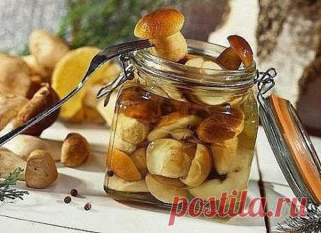 10  рецептов заготовки грибов на зиму