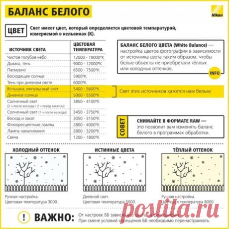 10 шпаргалок, которые помогут делать шикарные фотографии