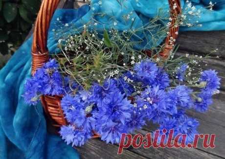 Мой Мир@Mail.Ru