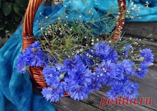 Мой Мир@Mail.Ru