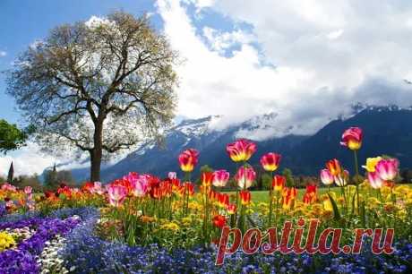 База отдыха Ольховая - Google+