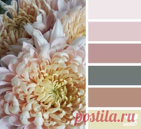 Flora Hues