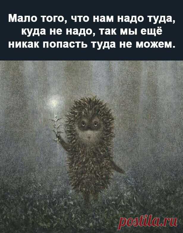 Да уж тумана хватает и ежей с запасом.