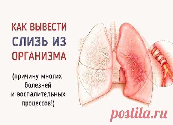 Простые способы избавления от слизи в организме. Самым эффективным методом, который помогает вывести ... Всё о здоровье: Простые способы избавления от слизи в организме. Самым эффективным методом, который помогает вывести ...