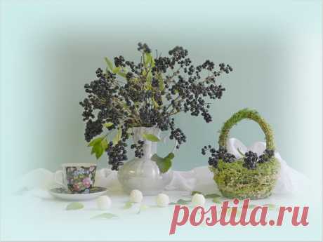 Яндекс.Фотки