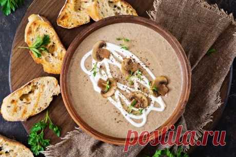 20 супов из шампиньонов, которые точно стоит приготовить - Будет вкусно - Медиаплатформа МирТесен
