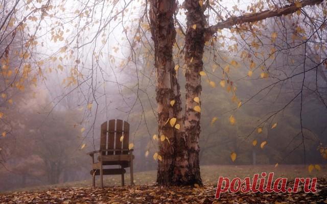 (19) Одноклассники