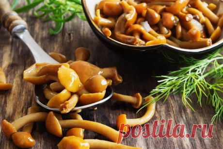 20 рецептов очень вкусных маринованных грибов Если хочется приготовить маринованные грибы, воспользуйся нашей подборкой из 20 лучших рецептов. Эта аппетитная закуска отлично сочетается со многими блюдами. Порадуй ею своих домочадцев, удиви гостей или просто приготовь впрок на будущее!