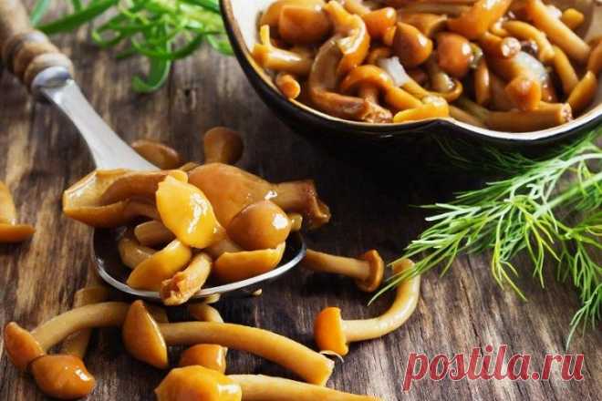 20 рецептов очень вкусных маринованных грибов Если хочется приготовить маринованные грибы, воспользуйся нашей подборкой из 20 лучших рецептов. Эта аппетитная закуска отлично сочетается со многими блюдами. Порадуй ею своих домочадцев, удиви гостей или просто приготовь впрок на будущее!