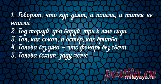 Короткая пословица для женщин в картинках (картинка 98) . Милая Я