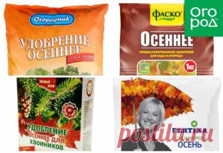 4 вида минеральных удобрений, которые всегда нужно иметь под рукой: