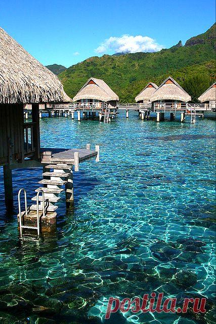 Ally Warner приколол(а) это к доске Oh the Places You'll Go <3 | Pint…