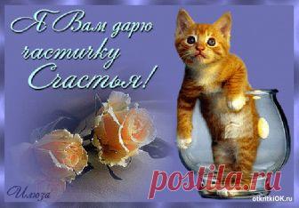 С Международным днем Счастья всех! 

Если счастье где-то рядом, то лелеять его надо, 
И встречаться чаще взглядом, счастье – будем всем наградой. 
Пусть глаза воспламеняют, в сердце ангелы стреляют, 
Показать полностью…