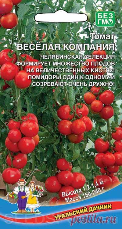 Томат Веселая Компания, 20 шт., купить в интернет магазине Seedspost.ru