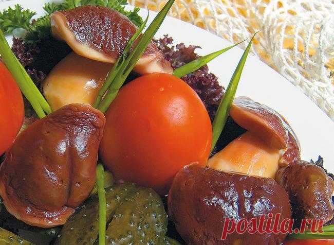 Заготовки: грибы