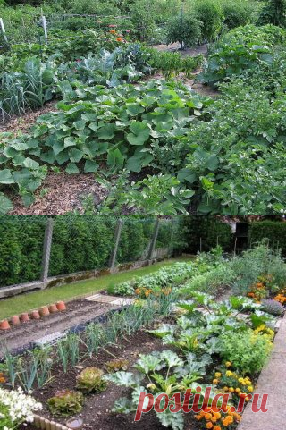 (62) Одноклассники