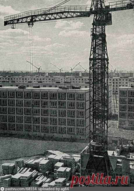 Фотография - Кузьминки, квартал №114 - Фотографии старой Москвы