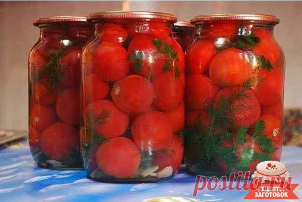 Маринованные помидоры 