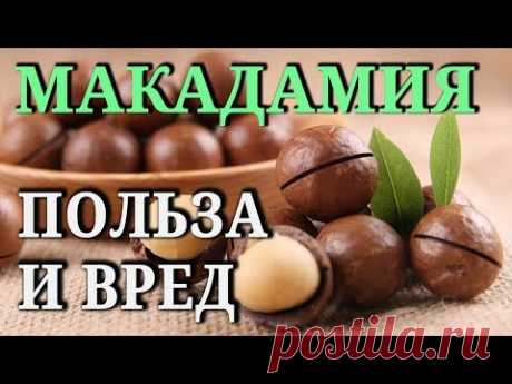 МАКАДАМИЯ. Состав, свойства, польза и вред