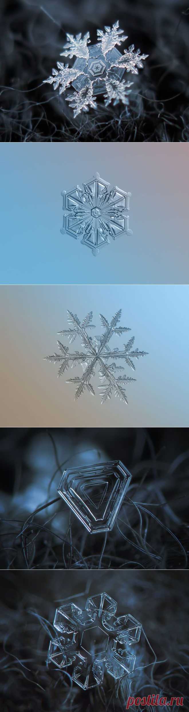 Обычные снежинки в неожиданном ракурсе от фотографа Alexey Kljatov | Фотография | Фотография