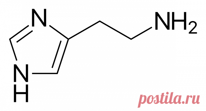 Antihistamine - Wikipedia
